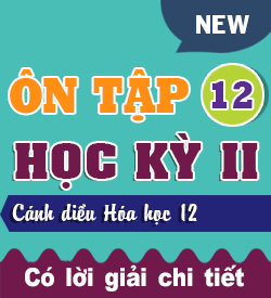 Ôn tập Học kỳ II (CD_HH12)